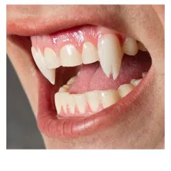 Scarecrow Viper Split Vampirzähne 6 Scarecrow Viper Split Vampirzähne -Karnevalskostüme Kinder NiedrigerPreis scarecrow viper split vampirzaehne vampirzaehne vampirzaehne darculazaehne 23704 03