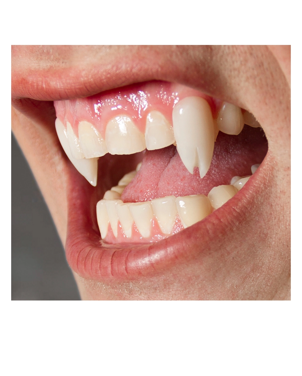 Scarecrow Viper Split Vampirzähne 3 Scarecrow Viper Split Vampirzähne – Bild 3